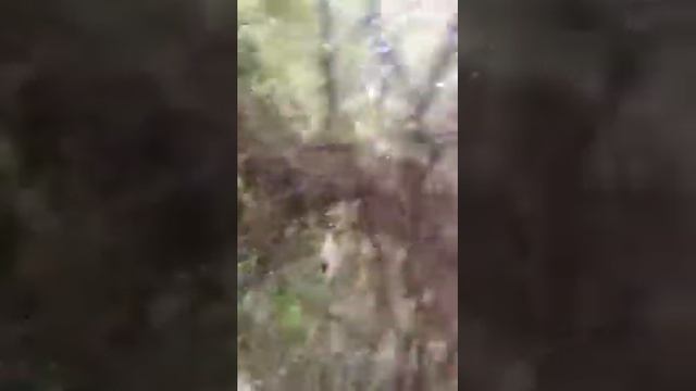 Pubol castelo Gala Dali смотреть онлайн