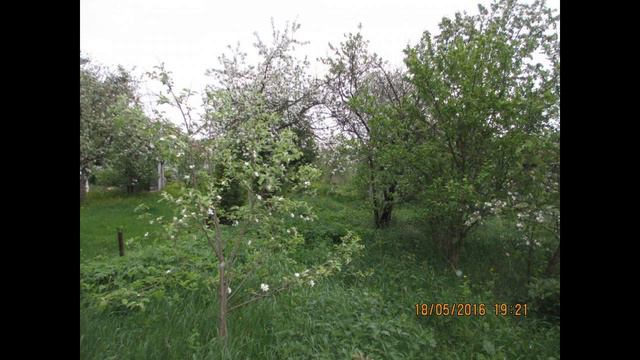 Дом дачный 2 этажа в городе смотреть онлайн