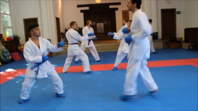 Budokan Bochum in Training - adidas Karate смотреть онлайн