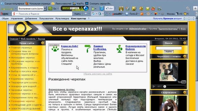Все о черепахах сайт.avi смотреть онлайн