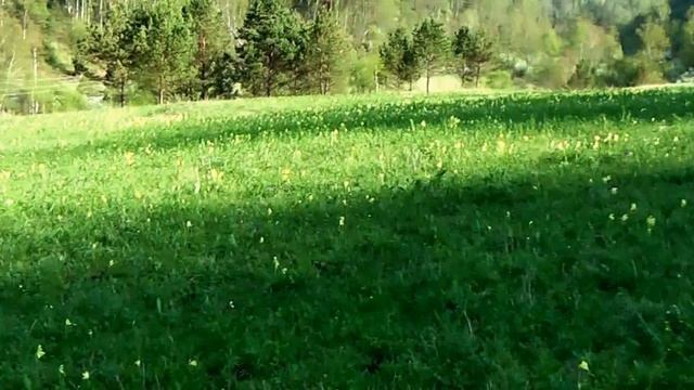 Богатство, богатство - что такое богатство? смотреть онлайн