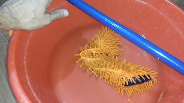 ПОЛЕЗНЫЕ СОВЕТЫ