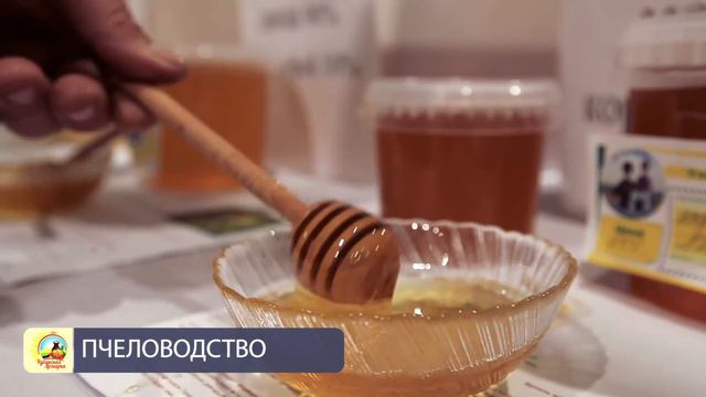 Кубанская Ярмарка (Экспоград) смотреть онлайн