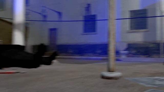 Skibidi Toilet 50 (fanmade) смотреть онлайн