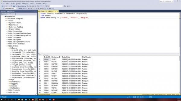 Learning SQL - SELECT Statement