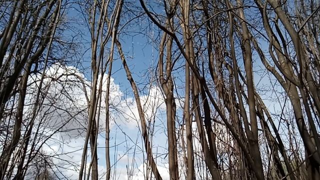 Гивенталь Как это сказать по-английски урок 16 смотреть онлайн