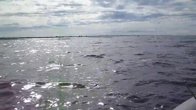 профмарин 300+сузуки 4(4 такта) смотреть онлайн