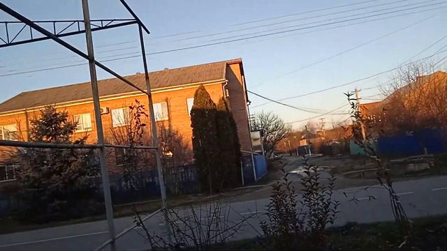 20.12.21г. Всё ещё цветут фиалки 🌺🌿