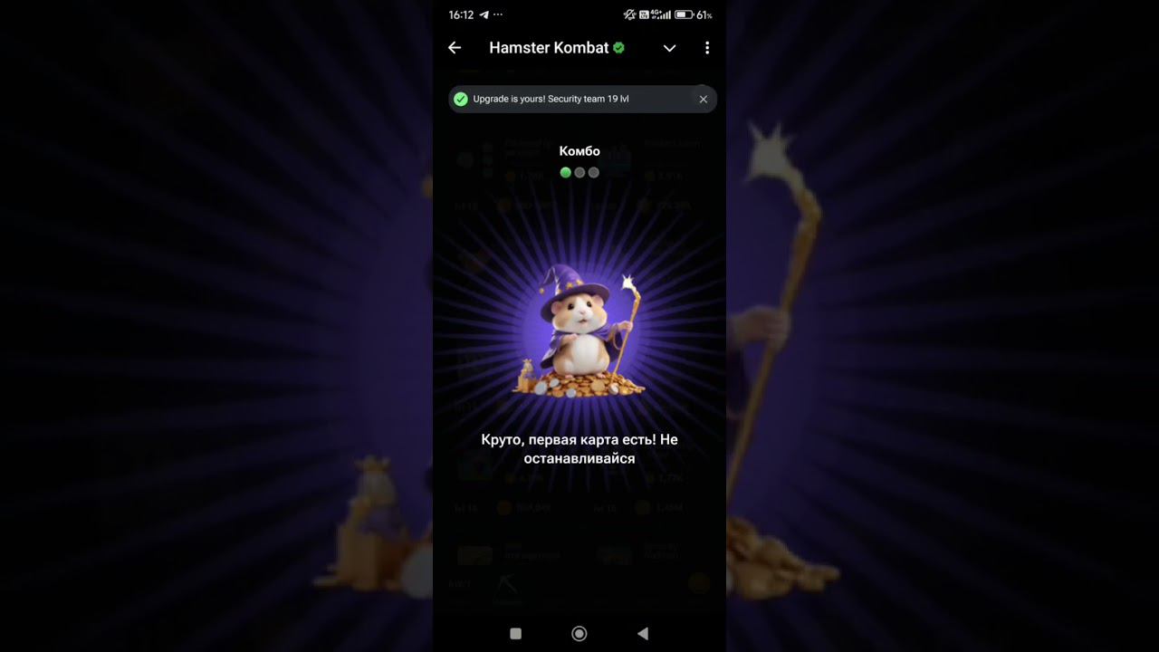 Комбо карты Hamster Kombat 14 - 15 августа 2024: карты, секреты и как найти комбо сегодня в Хомяке смотреть онлайн