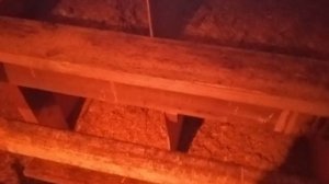 ??Гнезда у кур будут чистыми!Как отучить кур гадить в гнезда.