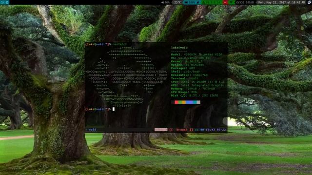 I switched to Void Linux, wew lad... смотреть онлайн
