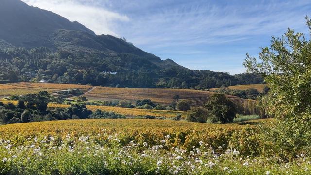 Exploring HIDDEN GEMS in CAPE TOWN AND THE GARDEN ROUTE in South Africa смотреть онлайн