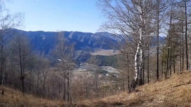 Сказка о том, как три богатыря покорили гору Верблюд. В одном шаге от победы! смотреть онлайн