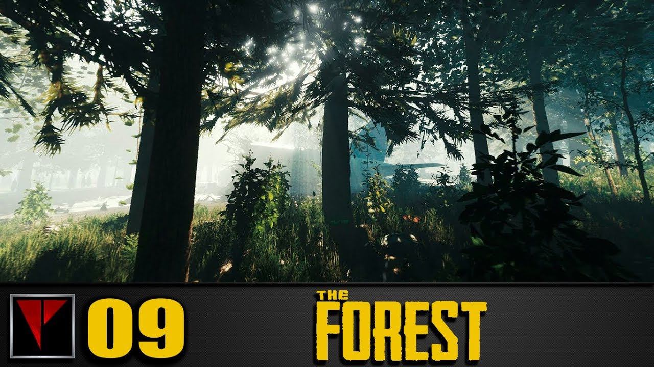 The Forest CO-OP #9 - "Пираты дома" или "Вечернее безумие"