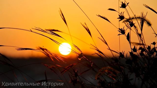 Вдова купила дом в глухой деревне. И когда она забралась на чердак, то ахнула, увидев там... смотреть онлайн
