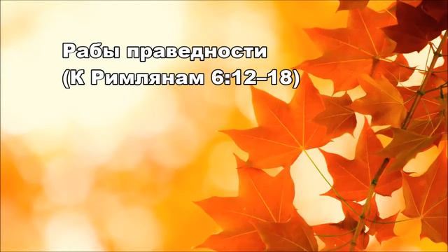 Тихое время с Живой Жизнью: К Римлянам 6:12–23 (17092016) смотреть онлайн