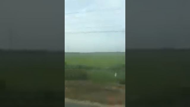 Вьетнам. Возделывание риса. смотреть онлайн