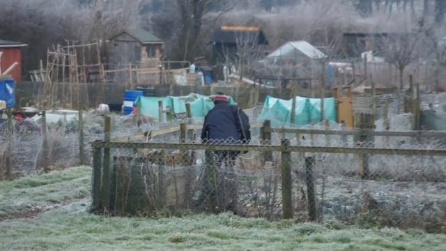 My Sony a55 video test смотреть онлайн