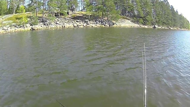 Pointer 78 XD - глубоководный твичинг для окуня. смотреть онлайн