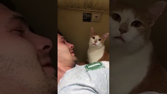 Аполлон дома 3 смотреть онлайн