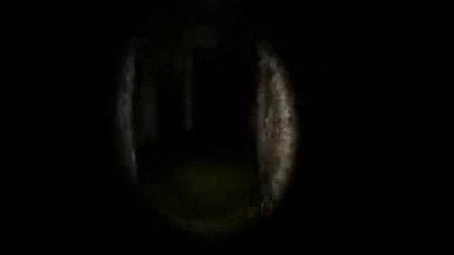 Survivers крик страха! смотреть онлайн