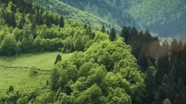 кн смотреть онлайн