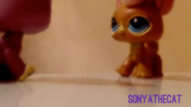 LPS MV: ИМПУЛЬСЫ ГОРОДА🌃 смотреть онлайн