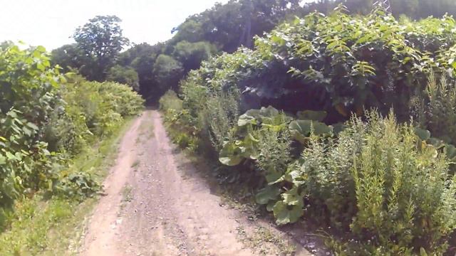 На квадроцикле на Горный Воздух ч1 смотреть онлайн