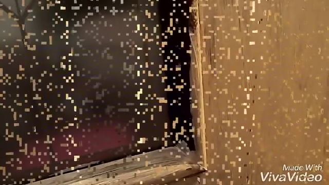 Покраска двери Из темного в светлый Без ошкуривания смотреть онлайн