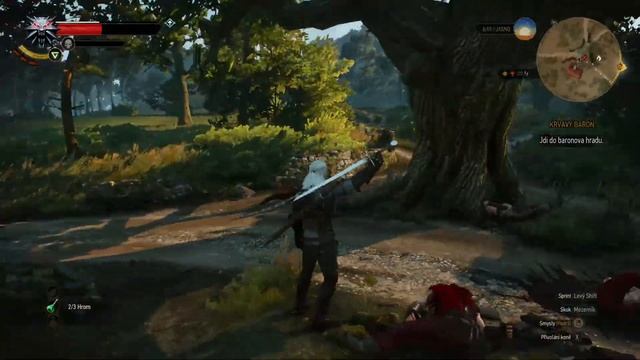 The Witcher 3: Wild Hunt RX570 8GB 60FPS смотреть онлайн