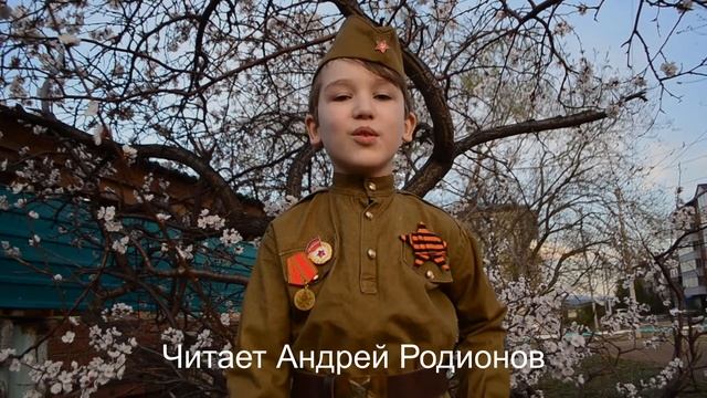 Стихотворение Павшим - Степан Щипачев смотреть онлайн