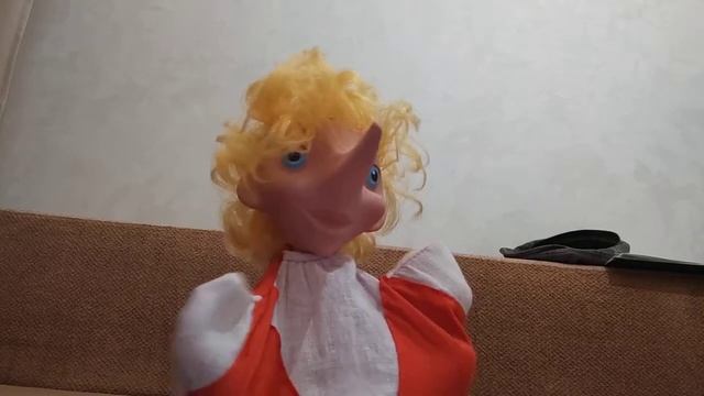 Новости от Пиноккио новая отмостка