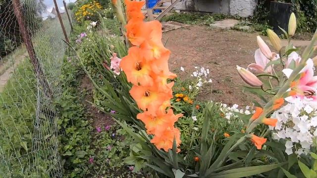 НАШЕ ЛЕТО НА ДАЧЕ 2021 ГОД | НОСТАЛЬГИЯ | АРХИВ #дача #влог #огород смотреть онлайн