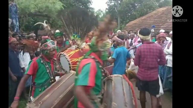BAPLA DOM RU KHILOD SANTHALI TRIBE TRADITIONAL VEDIO 2021 PAKUR JHARKHAND!! смотреть онлайн
