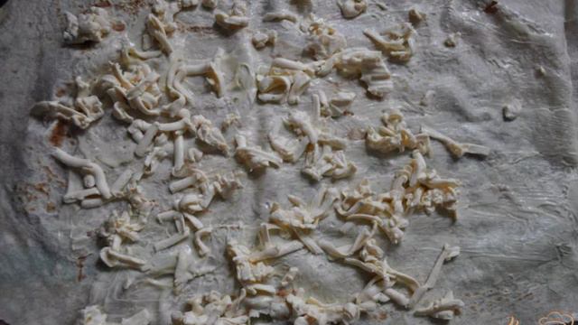 Готовим дома