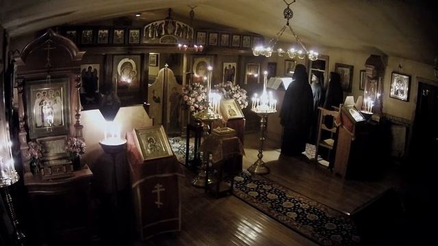 Matins, Typica, & Special Moleben to St. Panteleimon (8-11-22) смотреть онлайн