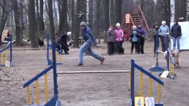 Соревнования по аджилити 28.10.12 г., СПб, Пионерская v07 смотреть онлайн