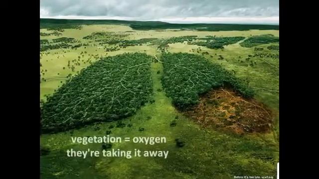 World Wildlife Fund Commercial