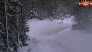 Rally WRC, зимние гонки .