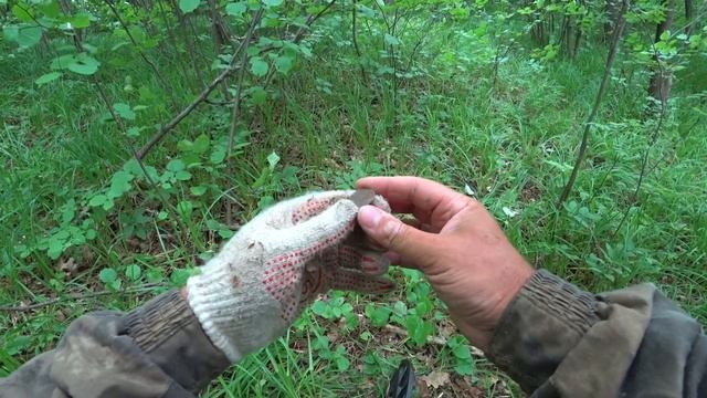 Нашёл Их В Старом Лесу У Деревни... Коп с  Nokta Makro Simplex Plus