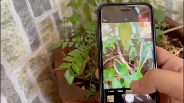 IPHONE SE 3 - A15 CHIP & 5G + NEW LEAKS смотреть онлайн