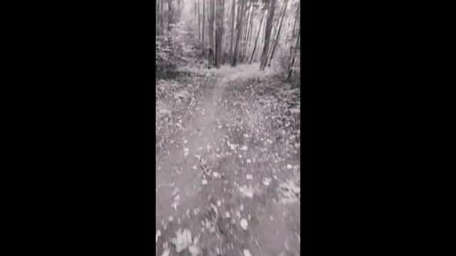 короткометражка,зарисовка 😁первый в жизни монтаж ,можно сказать 😂 смотреть онлайн