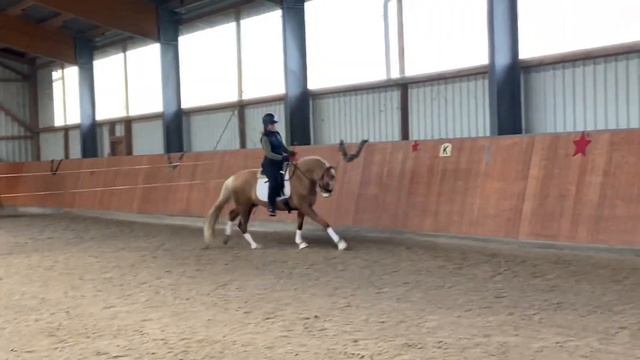 Verkaufspony XXL Pony Püppi смотреть онлайн