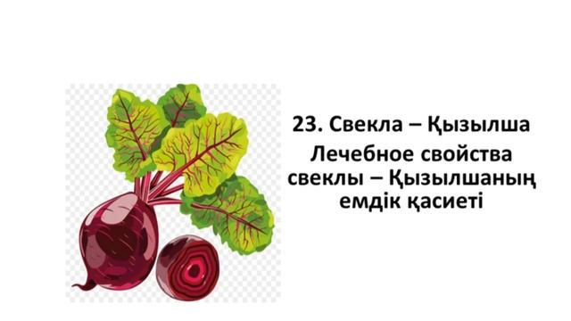 Нужные слова на казахском на тему "Продукты питания" смотреть онлайн