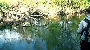 Ловля окуня на малых реках