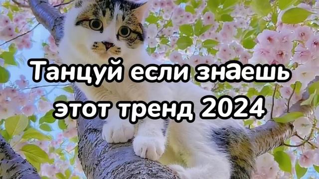💗😈Танцуй если знаешь этот тренд🤩Тренды 2024года😈💗 смотреть онлайн