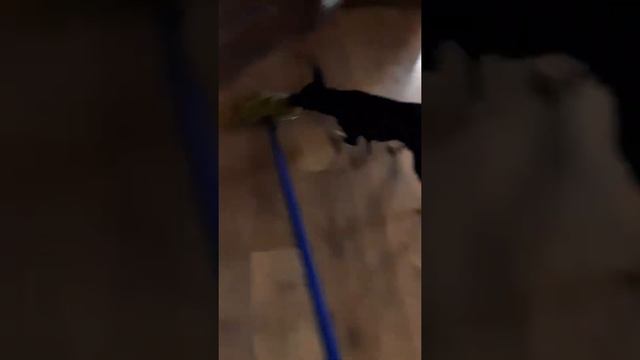 "любимое женское развлечение" смотреть онлайн