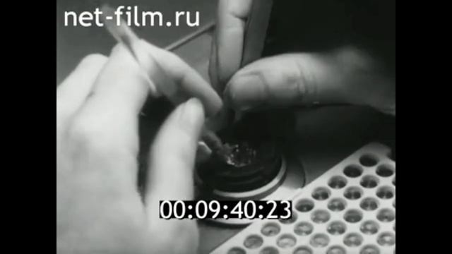 1980г. Углич. часовой завод "Чайка". Ярославская обл смотреть онлайн