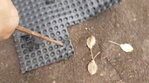 Профилированная мембрана Planter (плантер)