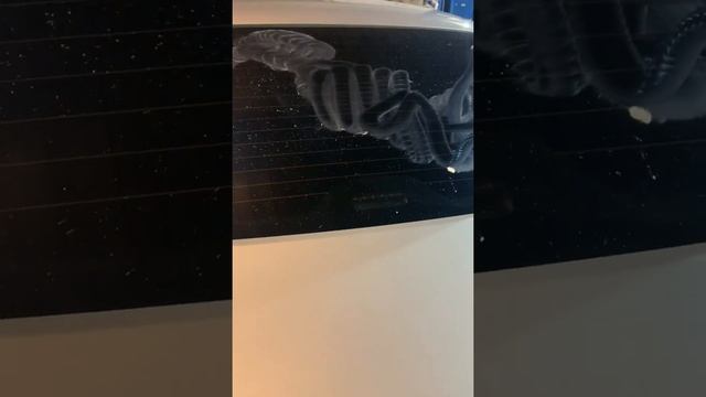 Чистка с отдачей